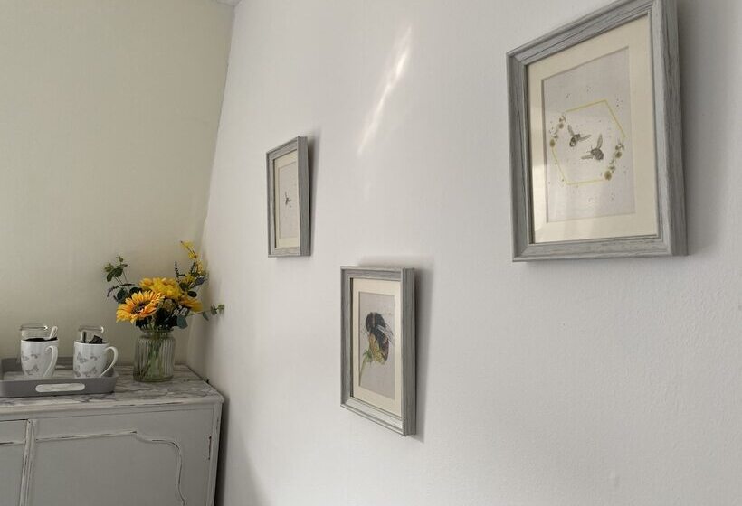 פנסיון The Wadham