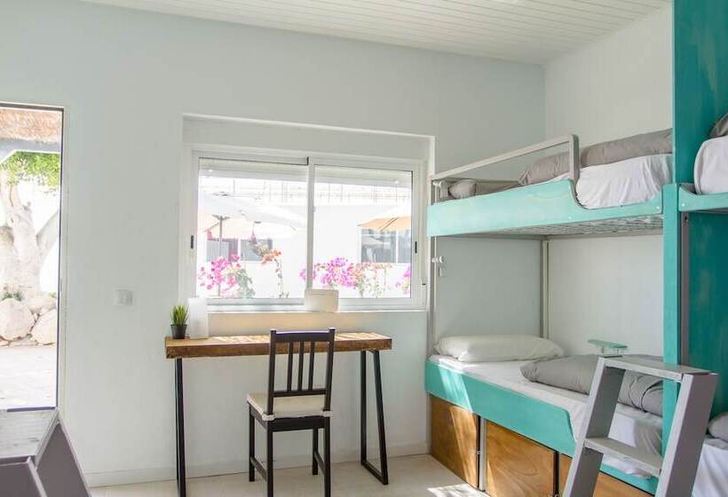 The Tree House Hostel