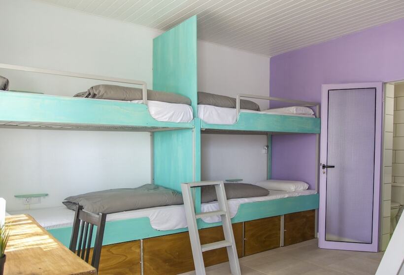 The Tree House Hostel