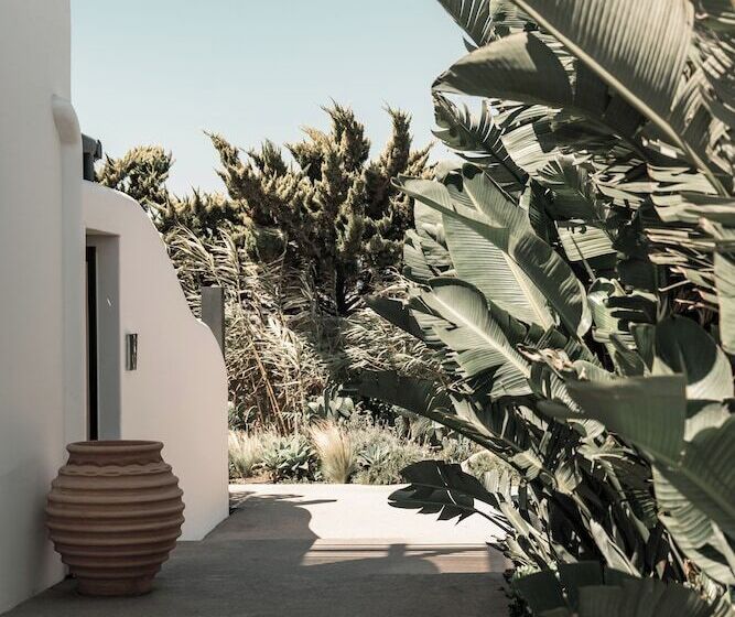 Asty Mykonos Hotel & Spa   World Of One Hotel Group