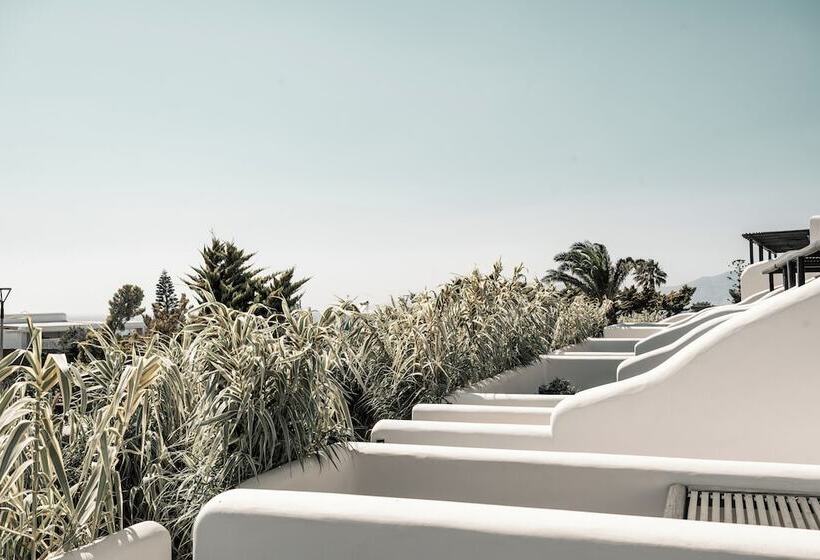 Asty Mykonos Hotel & Spa   World Of One Hotel Group