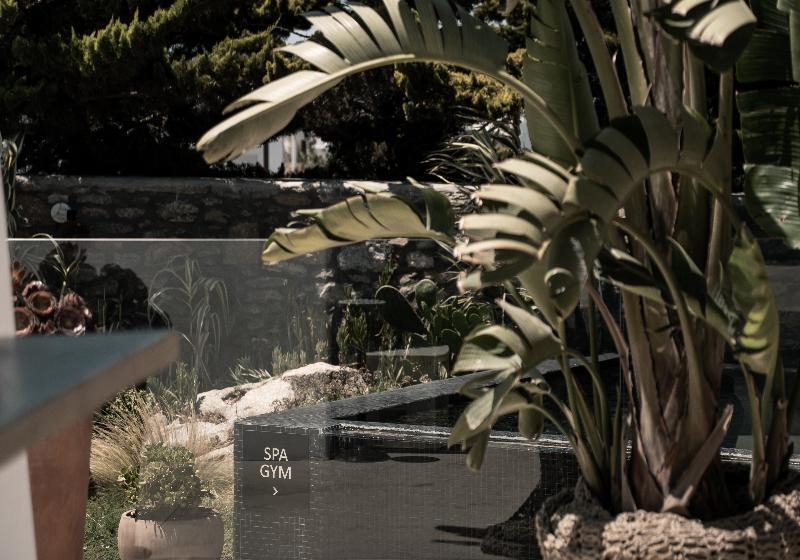 Asty Mykonos Hotel & Spa   World Of One Hotel Group