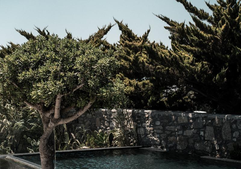 Asty Mykonos Hotel & Spa   World Of One Hotel Group