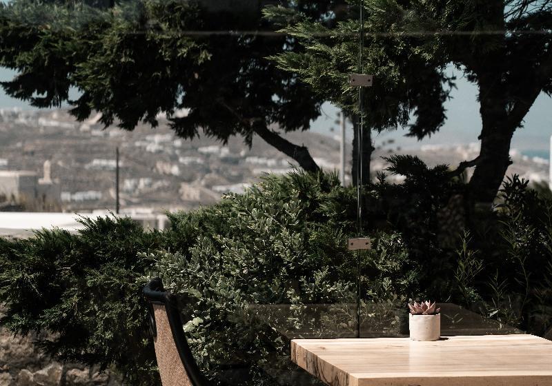 Asty Mykonos Hotel & Spa   World Of One Hotel Group