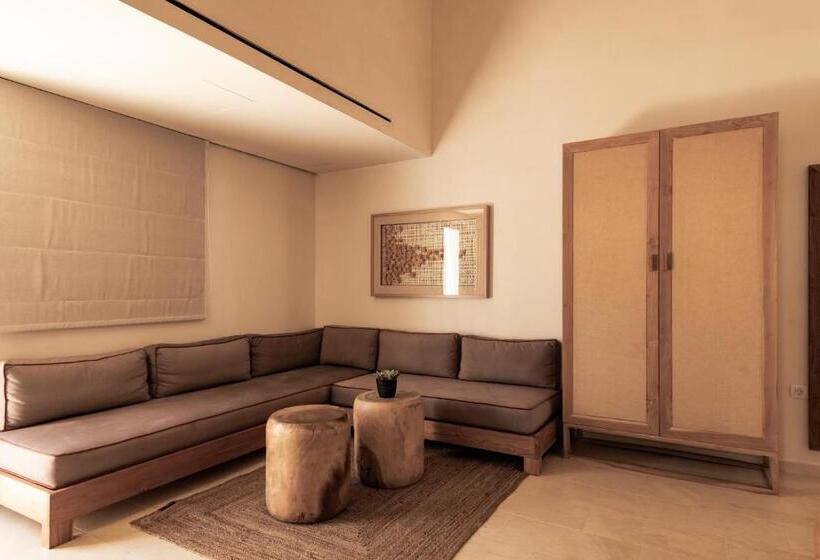 Asty Mykonos Hotel & Spa   World Of One Hotel Group