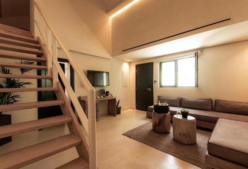 Asty Mykonos Hotel & Spa   World Of One Hotel Group