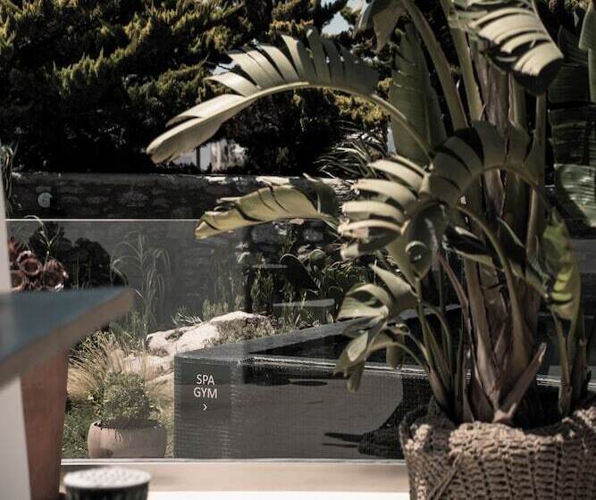 Asty Mykonos Hotel & Spa   World Of One Hotel Group