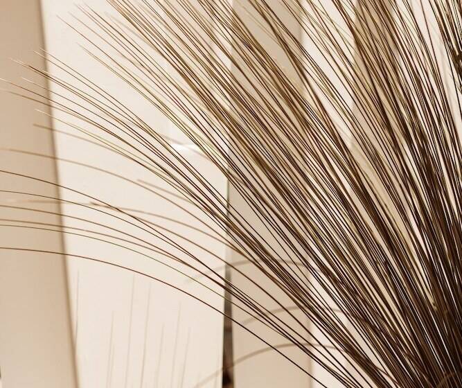 Asty Mykonos Hotel & Spa   World Of One Hotel Group