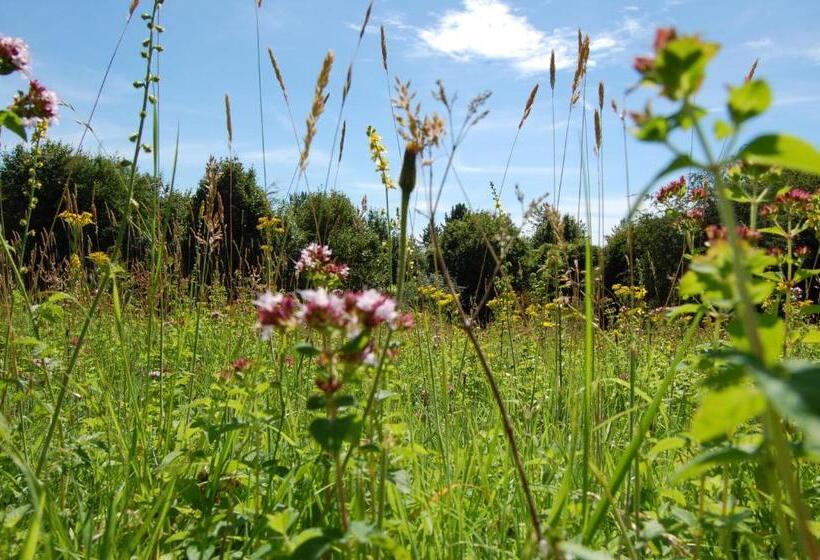 Bed and Breakfast South Downs Eco Lodge & Camping