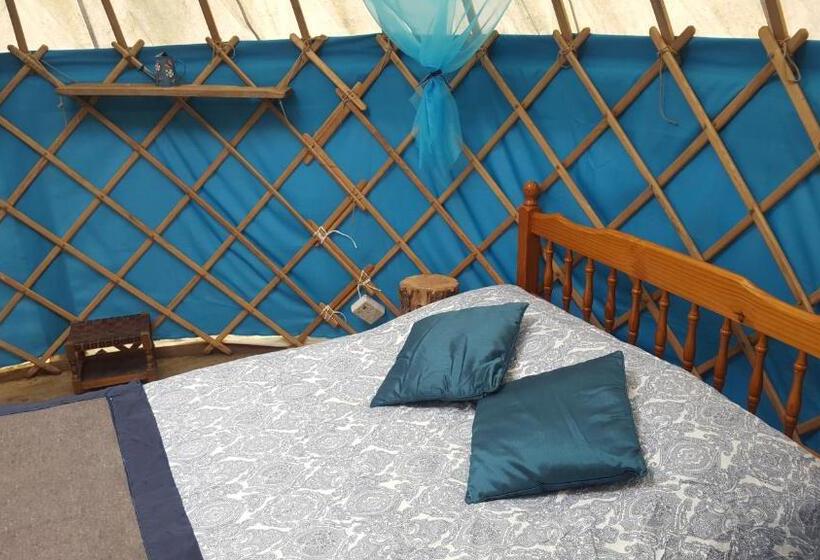 Bed and Breakfast South Downs Eco Lodge & Camping