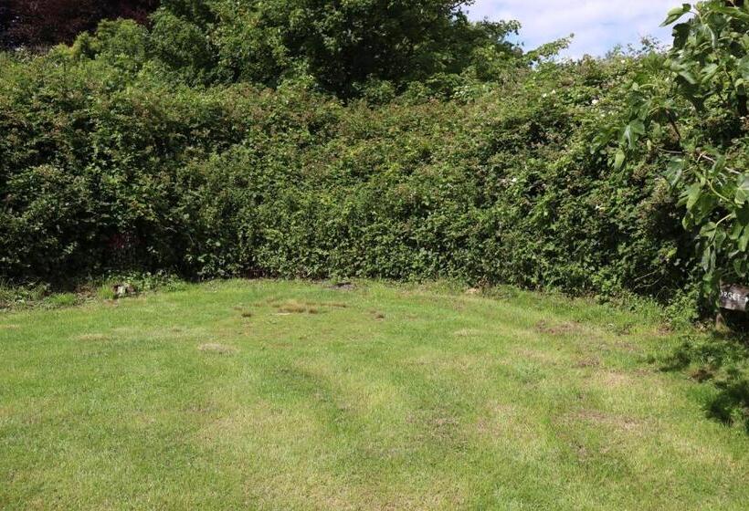 Bed and Breakfast South Downs Eco Lodge & Camping