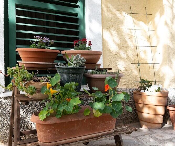 Cozy 1bedroom Apartment Sonia