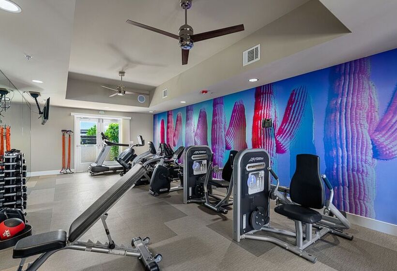 فندق The Paloma Resort