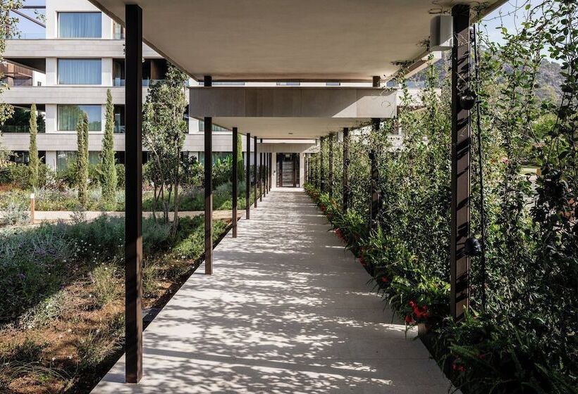 リゾートホテル Kimpton Aysla Mallorca, An Ihg