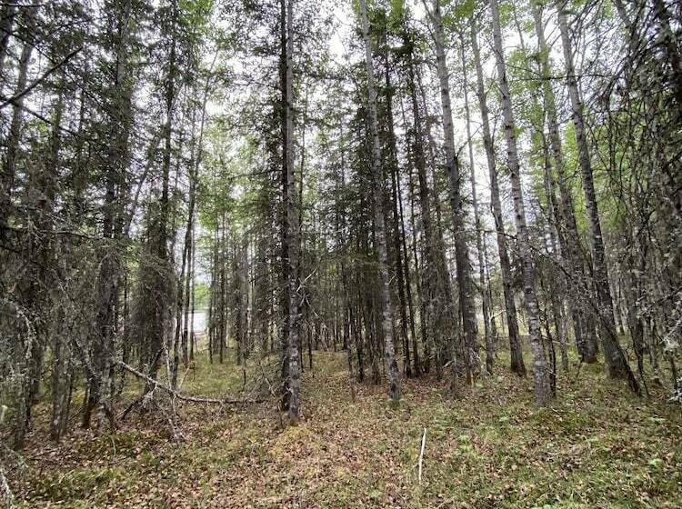 Flippin Crazy Fishing & Lodging