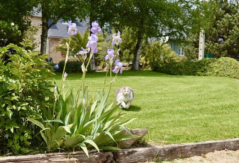 פנסיון La Pichonnière