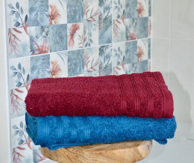 פנסיון La Pichonnière