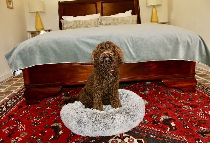 Bed and Breakfast 5 Grande Rue