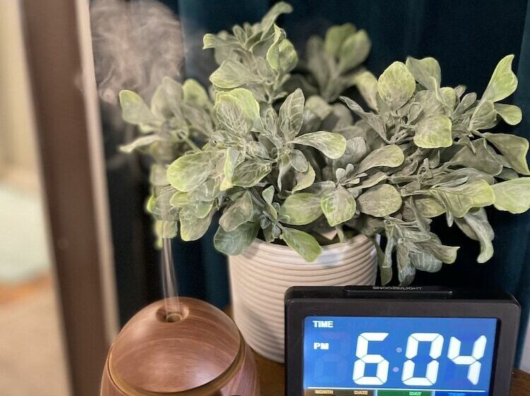 Bed and Breakfast Dream Inn