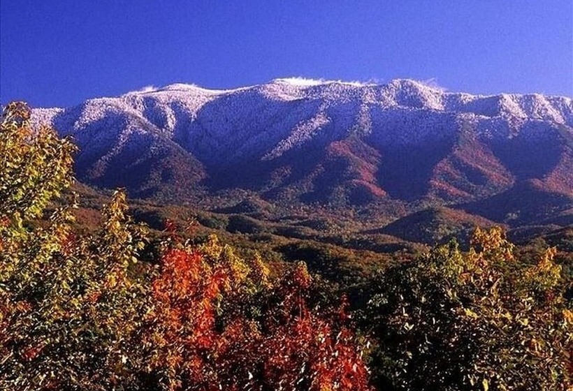 Cabin Fever Lodge #750