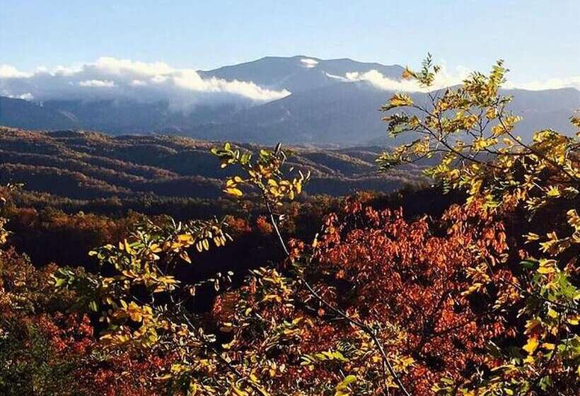 Cabin Fever Lodge #750