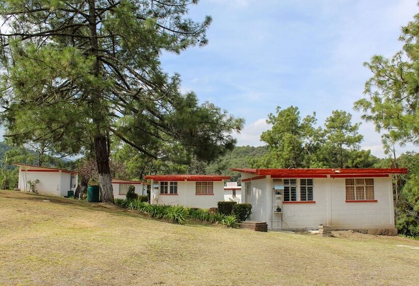 ホテル Bungalows Villa Limon