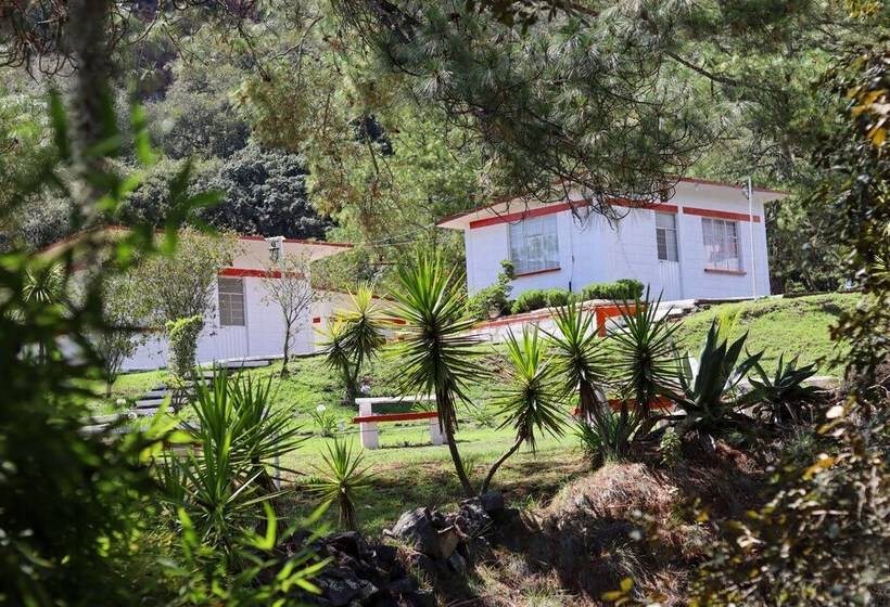 ホテル Bungalows Villa Limon