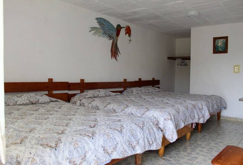 ホテル Bungalows Villa Limon