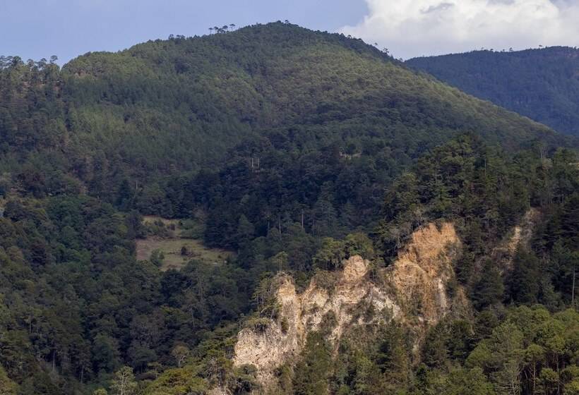 ホテル Bungalows Villa Limon