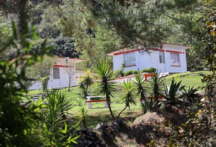 ホテル Bungalows Villa Limon