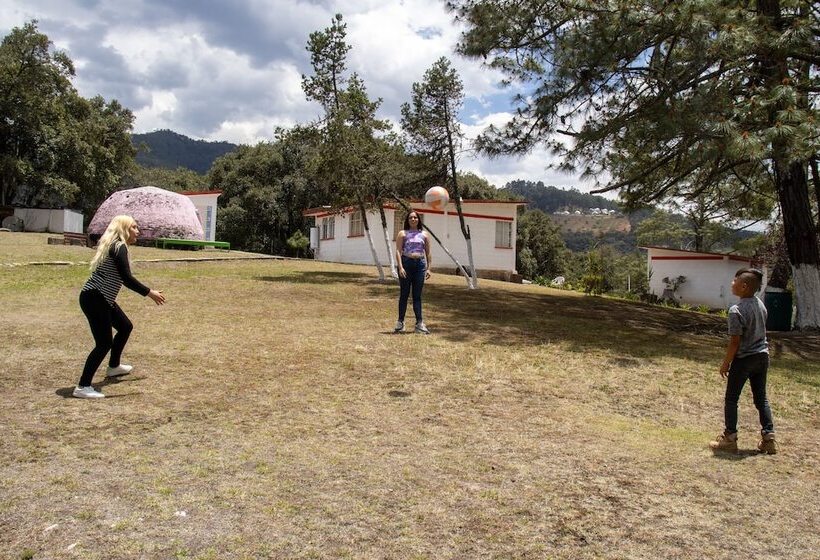 ホテル Bungalows Villa Limon