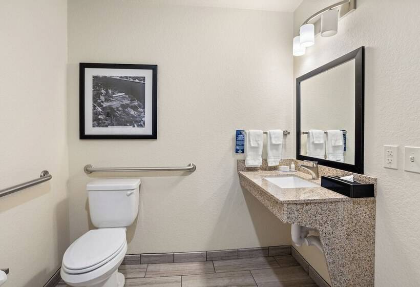 Cobblestone Hotel & Suites   De Pere Green Bay