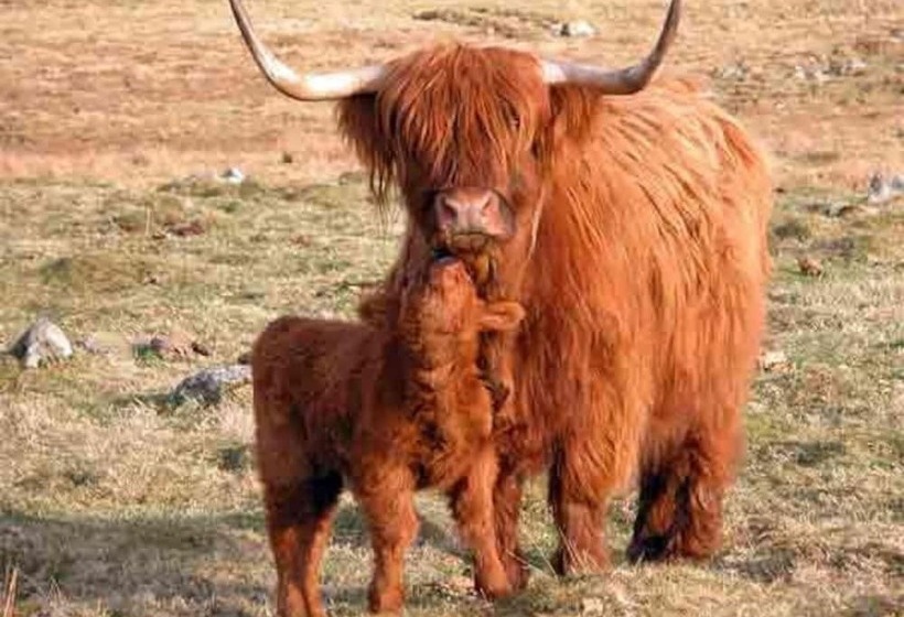 فندق Delighful, Cosy Caravan With Sea View In Monreith