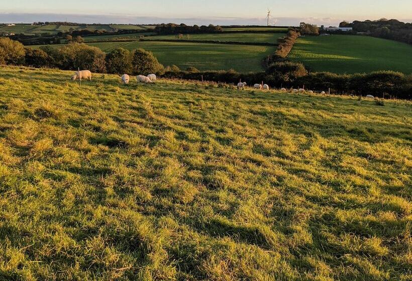 酒店 Immaculate Lotus Belle Tent Retreat, North Devon