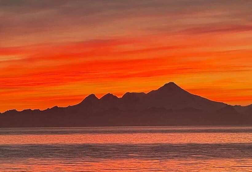 فندق King Halibut Lodge