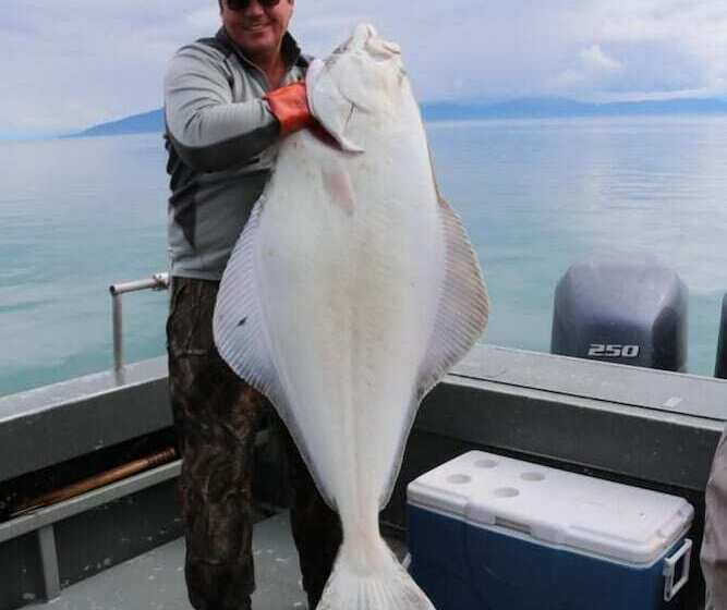 فندق King Halibut Lodge