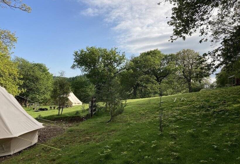 酒店 4 Large Bell Tents & Remote Wood Cabin   Sleeps 16