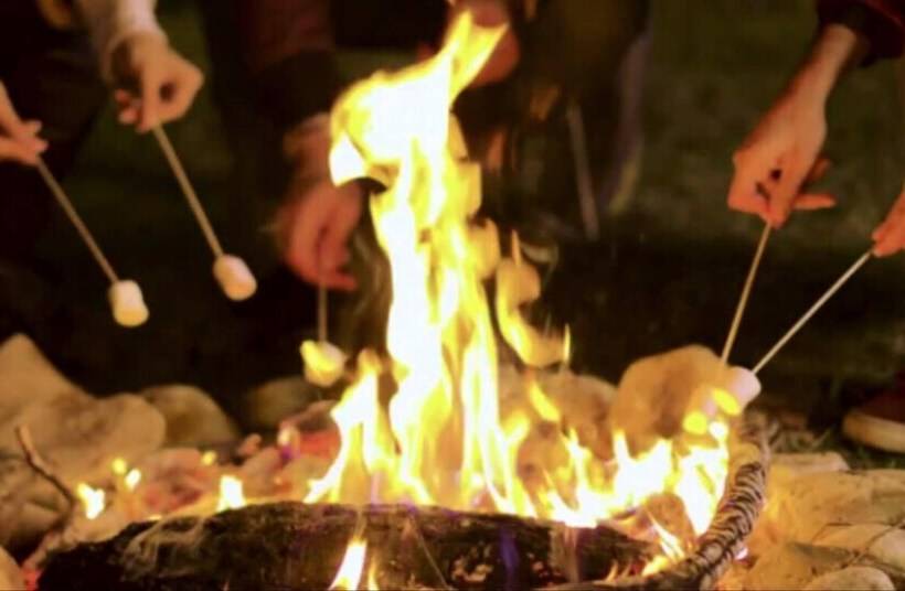 酒店 4 Large Bell Tents & Remote Wood Cabin   Sleeps 16