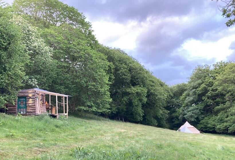 酒店 4 Large Bell Tents & Remote Wood Cabin   Sleeps 16