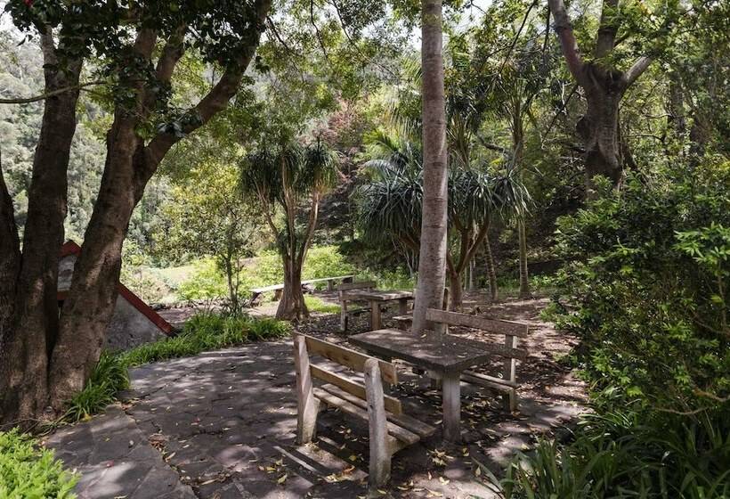 In Laurissilva Forest, Casa Do Lanço   Carvalho