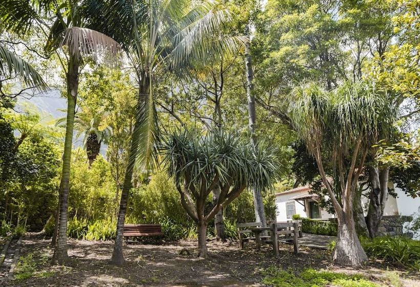 In Laurissilva Forest, Casa Do Lanço   Carvalho
