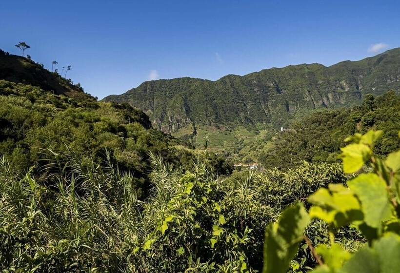 In Laurissilva Forest, Casa Do Lanço   Carvalho