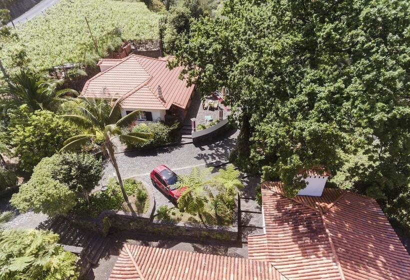 In Laurissilva Forest, Casa Do Lanço   Carvalho
