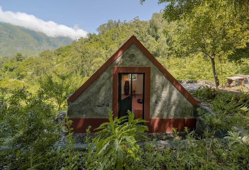 In Laurissilva Forest, Casa Do Lanço   Carvalho