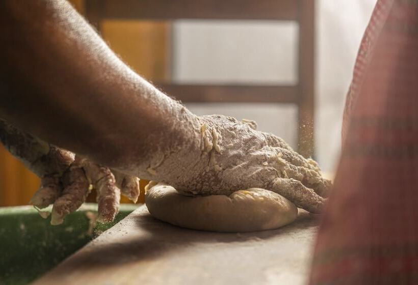 In Laurissilva Forest, Casa Do Lanço   Carvalho