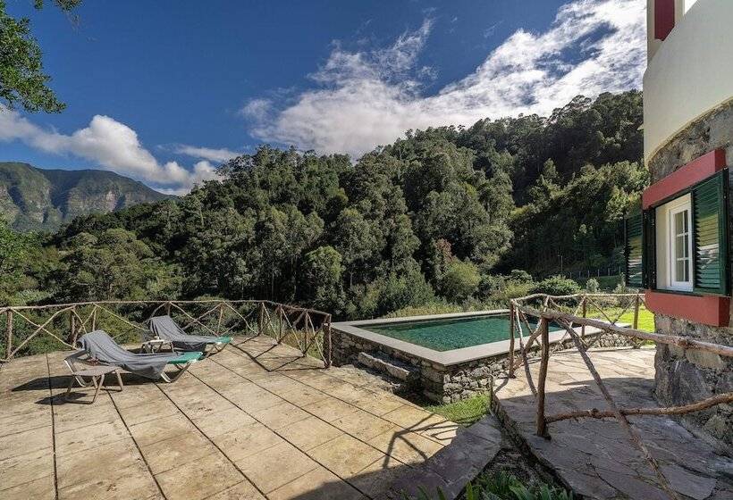 In Laurissilva Forest, Casa Do Lanço   Carvalho