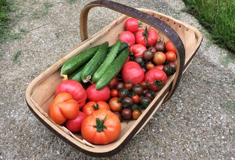 ペンション Frizenham Farmhouse