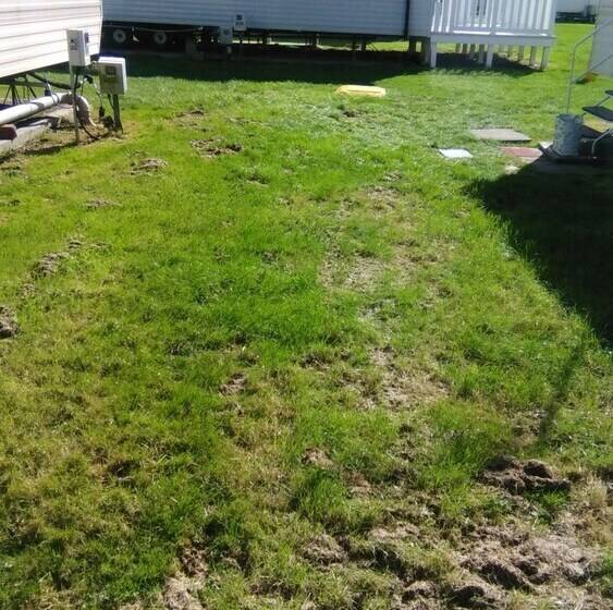 إقامة Charming 3bed Caravan In Camber Food Rest