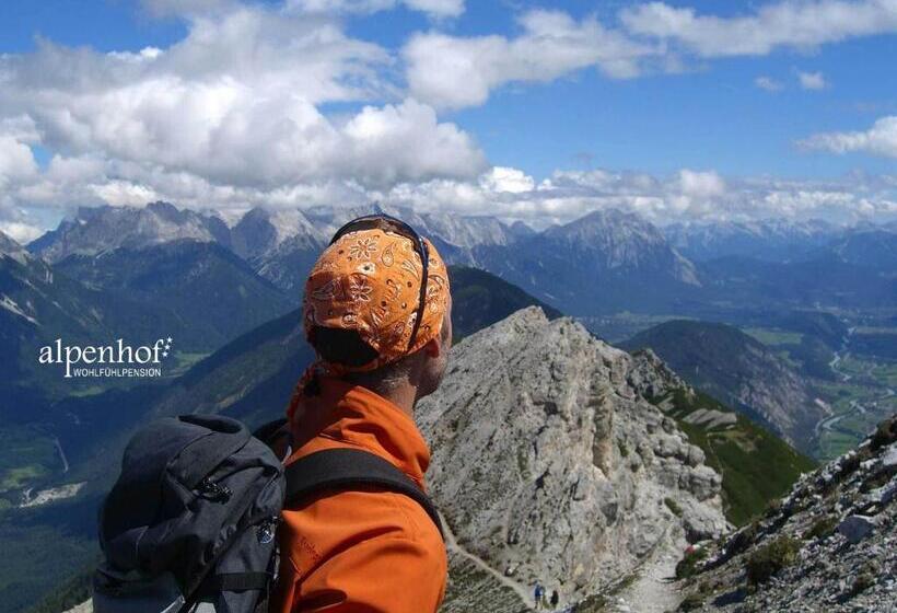 住宿加早餐  Alpenhof Wohlfühlpension