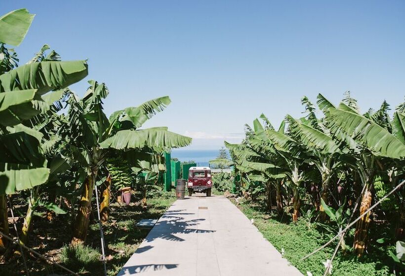 Casa Rural El Patio De Tita